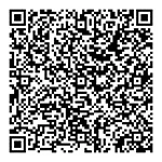 QR Code 1