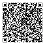 QR Code 2